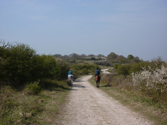 a lomos del caballo